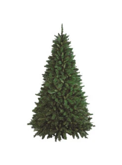 Sapin De Noël "Riccardo"