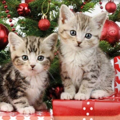 Mini Plateau Rectangulaire Chatons Noël