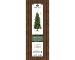 Sapin De Noël Grandis Slim H 150 X ø 80 Cm